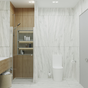 Душевая дверь Triton Уно 70 см